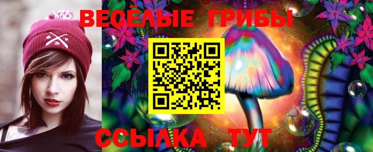 Галлюциногенные грибы MAGIC MUSHROOMS  магазин продажи наркотиков  Набережные Челны  Вход с VPN 