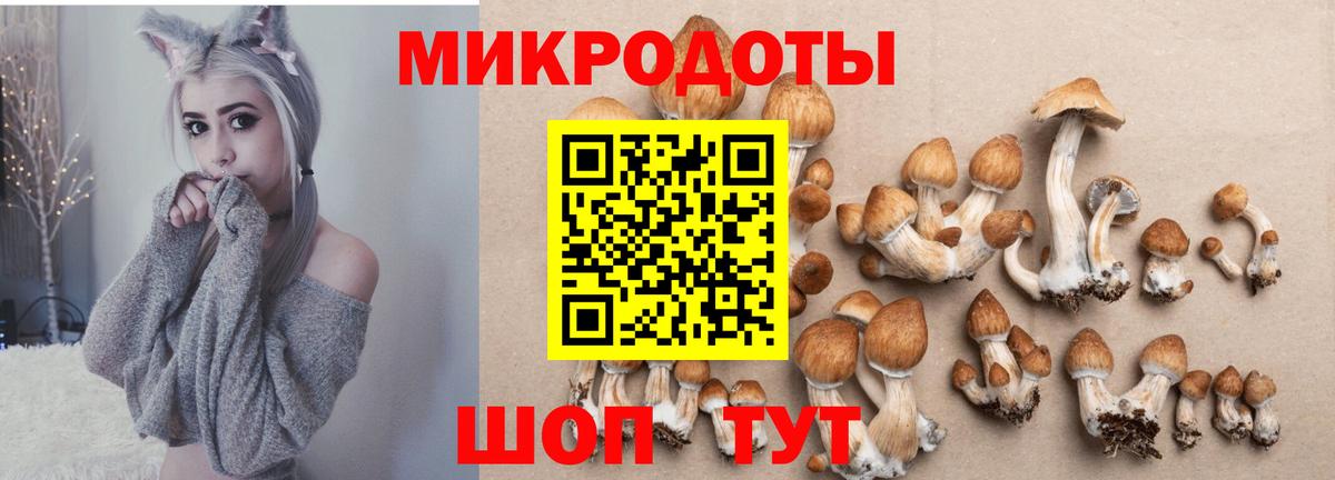 Галлюциногенные грибы GOLDEN TEACHER Набережные Челны